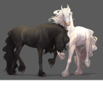 Beautiful Horse Squad!!