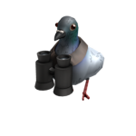 Birds flock