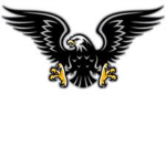 New Jersey Black Hawks