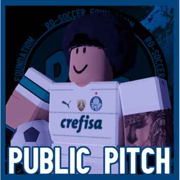 [RSF] Public Pitch