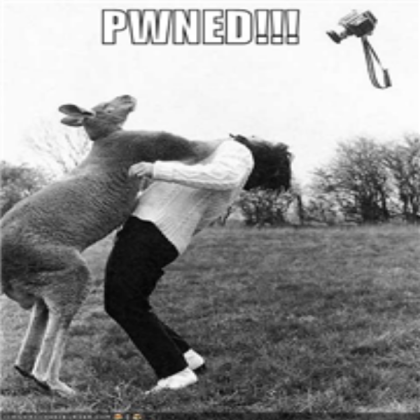 funny picture Roblox decal