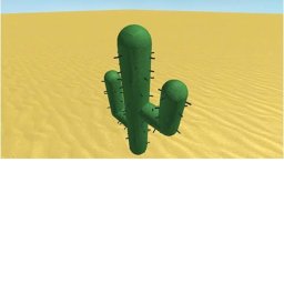 cactus land