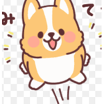 The Smart Corgi