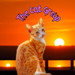 | - The Cat Group - |