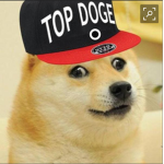 The Offical Doges YT