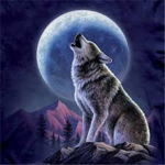 {UK} Alpha Wolf