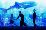 Aesthetic Beutiful group UwU