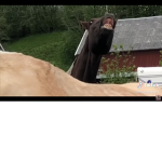 Hi there my name isbrvfxvjhfcxjnbc jn