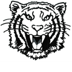 PoloTiger