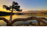 Chill group for everyone.............