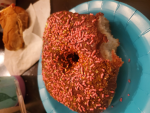 Donut fans!!!