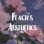 ୨୧ Peach's Aesthetics ୨୧