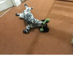 #The puppy squad! With Johnny my Dog#