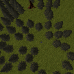 the woods