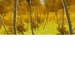 Mystery Forest