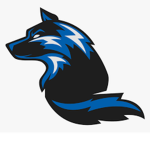 gamer group and shop