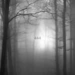 444 き Group Thumbnail