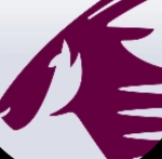 Qatar Airlines PTFS.