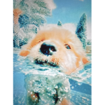 AwhxAmber~