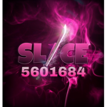 SL/CE