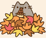 Pusheen Is Epic