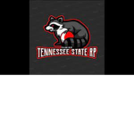 Tennessee State Roleplay ER:LC Server