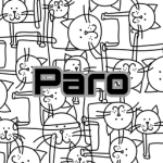Paro Store