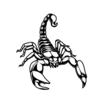 Scorpion Developer
