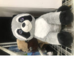 Raccoon Crew!