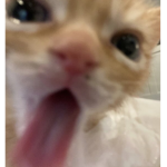 #bahaha