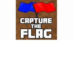capture the flag