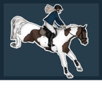 Kayresa_horses