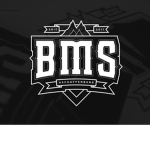 Gamer:=( B.M.S)