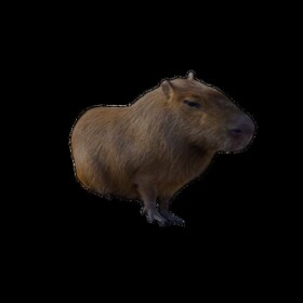 Capybara Rpg 7