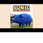 The Sonic Franchise!