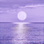 it's lavender ~ fan group