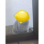 LemonCats