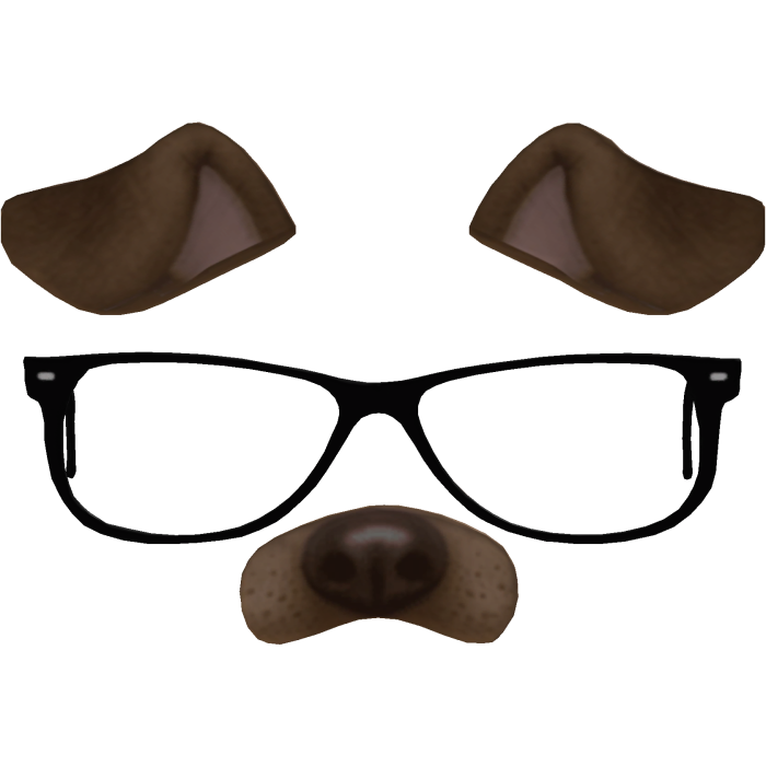 Cute Dog Filter With Glasses