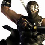 the awsome ninjas