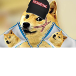 shibainu clan