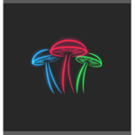 Sir_mushroom Fan club