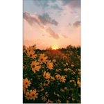 • b ê l î e v ē r š •