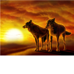 Wolf Life ~Sunset Valley~