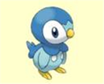 The piplup gang