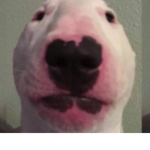 peppa pig eoeoeoe