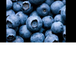 Blueberry Squaad