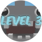 Level 3