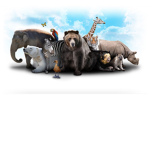 The Special Monke group