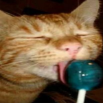 Feed Me Gunk