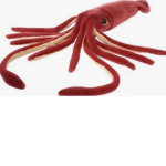 Squid Squad Official Group